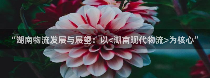 多多28娱乐官网网页入口：“湖南物流