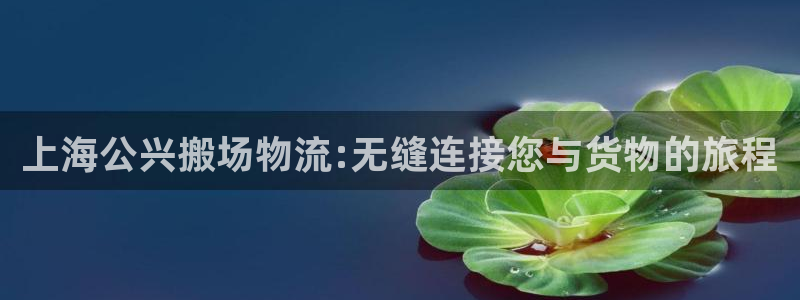 多多28下载链接是多少：上海公兴搬场