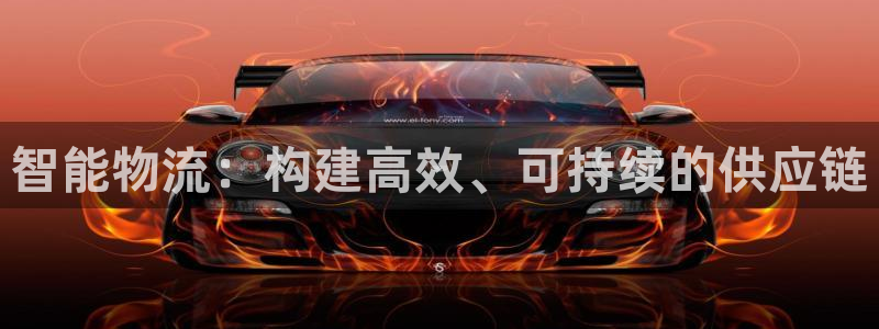 多多28如何看012路计划：智能物流