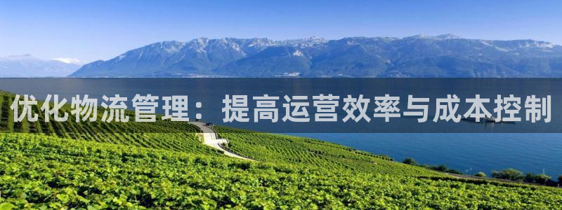 多多28娱乐官网网页：优化物流管理：