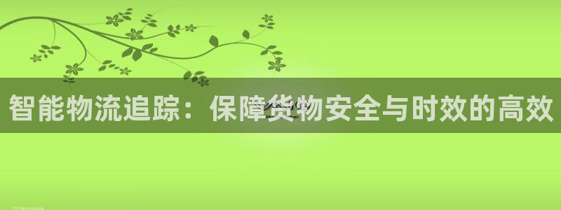 多多28登录流程：智能物流追踪：保障