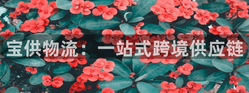 多多28怎么下载教程：宝供物流：一站