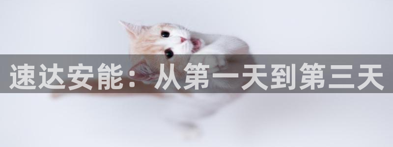 多多28加拿大在线预测：速达安能：从
