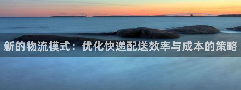 多多28链官网：新的物流模式：优化快