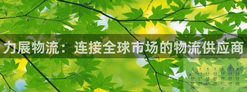 多多28推广链接是多少钱一个：力展物