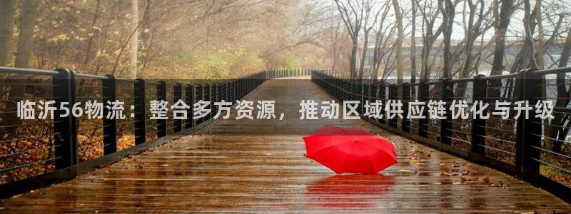 多多28能不能退：临沂56物流：整合