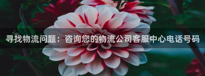 多多28现在狂杀：寻找物流问题：咨询