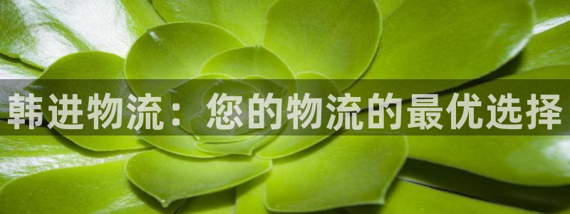 多多28官方平台：韩进物流：您的物流