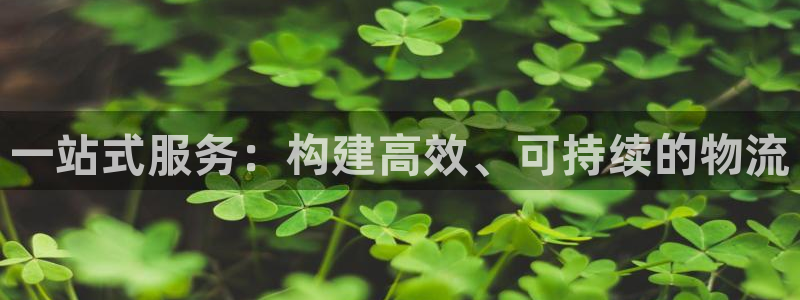 多多28口：一站式服务：构建高效、可