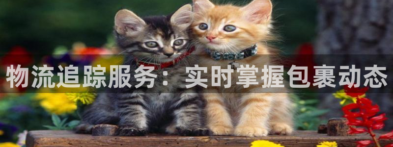 多多28圈助手：物流追踪服务：实时掌