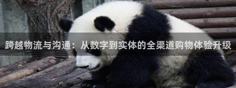 多多28头像：跨越物流与沟通：从数字
