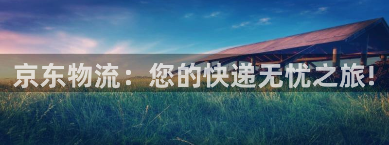 多多28加拿大下载：京东物流：您的快递无忧之旅!