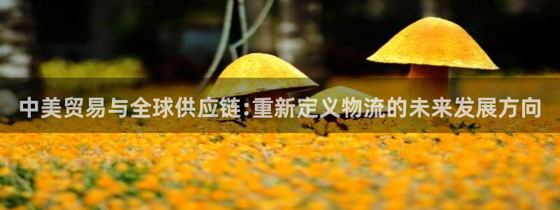 多多28能赢钱吗：中美贸易与全球供应