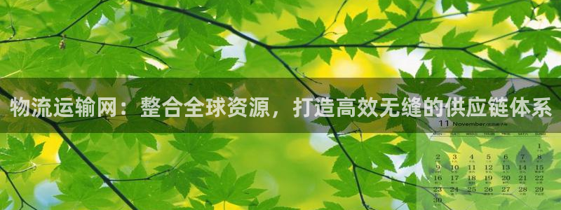 多多28加拿大6.0：物流运输网：整