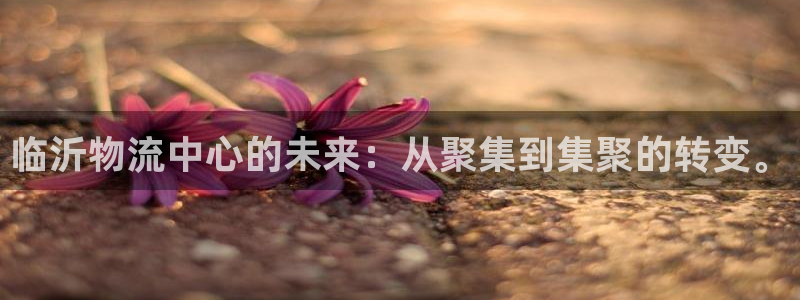 多多28退款：临沂物流中心的未来：从