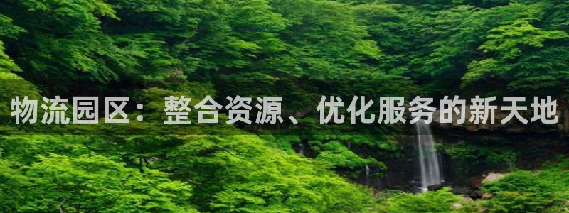 多多28软件堵什么反什么：物流园区：整合资源、优化服务的新天