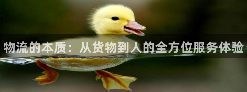 多多28是干嘛的：物流的本质：从货物