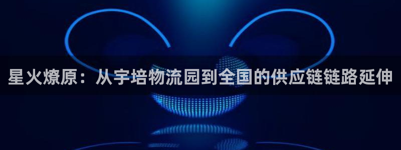 多多28软件堵什么反什么：星火燎原：从宇培物流园到全国的供应
