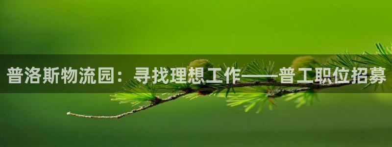 多多28入口问一问