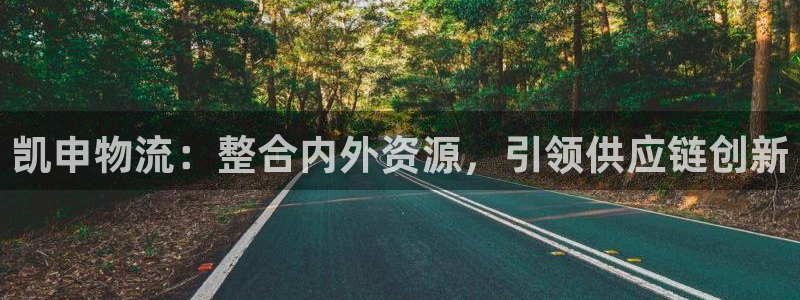 多多28官方版正版:凯申物流:整合内